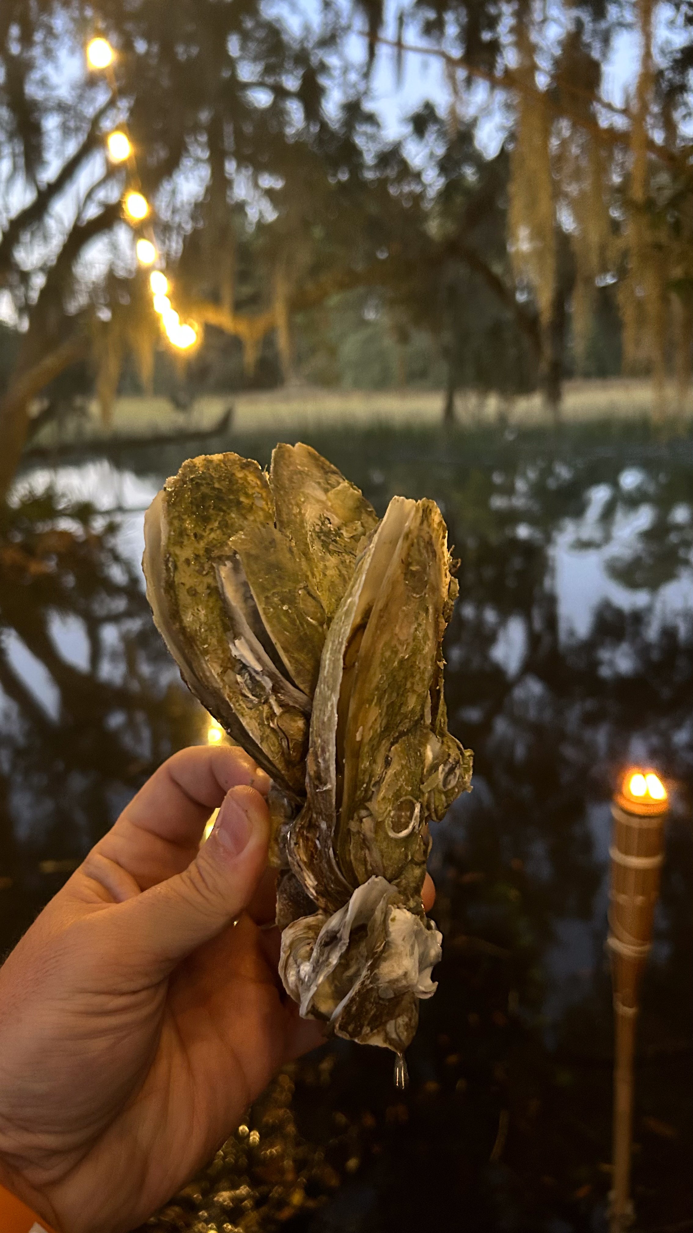 140QT STEAMER/BOILER COMBO CART