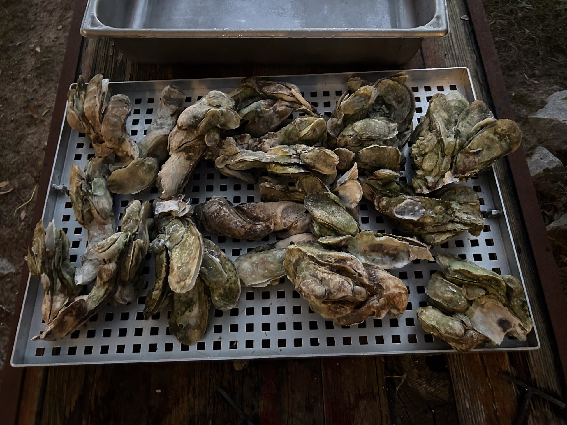 140QT STEAMER/BOILER COMBO CART