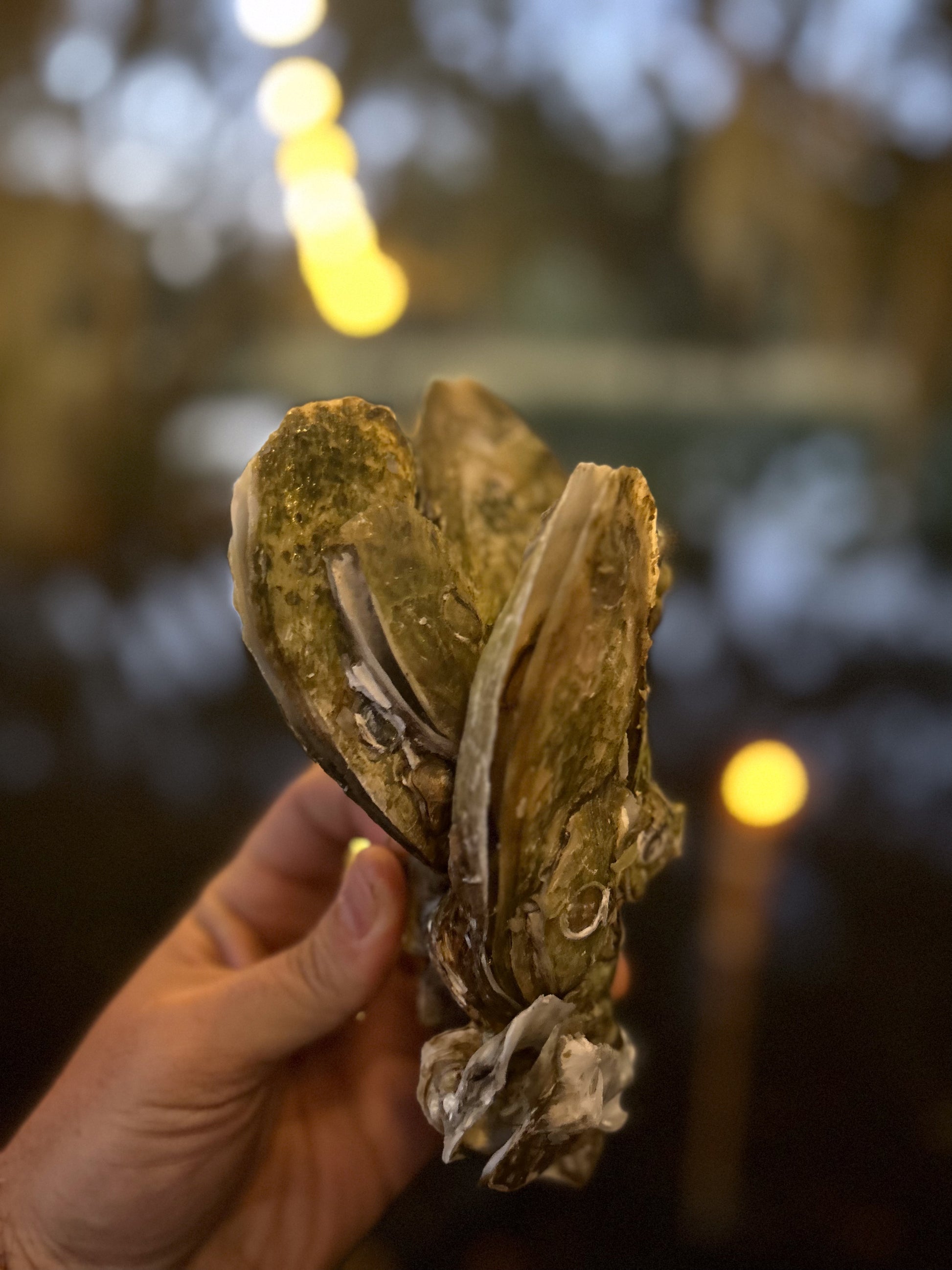 140QT STEAMER/BOILER COMBO CART